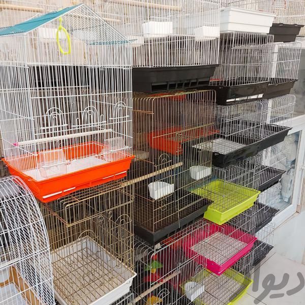 لوازم قفس حیوانات خانگی|لوازم جانبی مربوط به حیوانات|مشهد, عبدالمطلب|دیوار