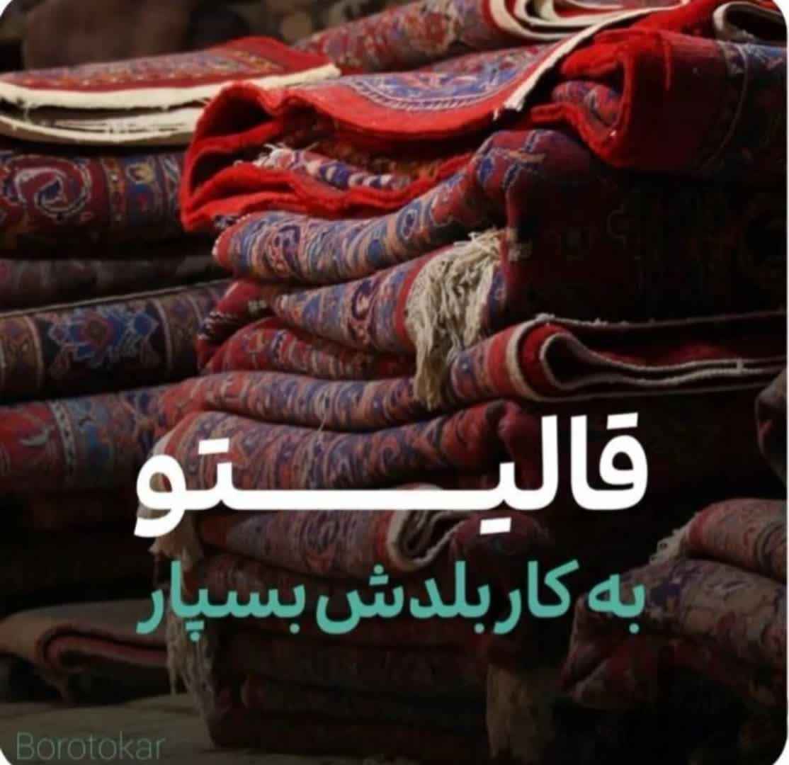 قالیشویی و مبل شویی نظام آباد سبلان نامجو تهرانو|خدمات نظافت|تهران, نظام‌آباد|دیوار
