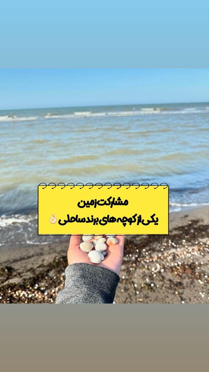 مشارکت زمین ساحلی|مشارکت در ساخت املاک|محمودآباد, |دیوار