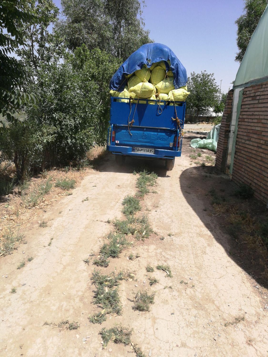 خاک.   باغچه  و  فلاورباکس  گلدان|خدمات باغبانی و درختکاری|تهران, تهرانسر شرقی|دیوار