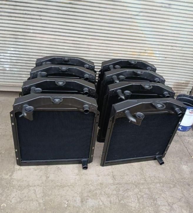 انواع رادیاتوربنزدهتن.رومانی.فرگوسن.خاور.مینی بوس|قطعات یدکی و لوازم جانبی|تهران, آشتیانی|دیوار