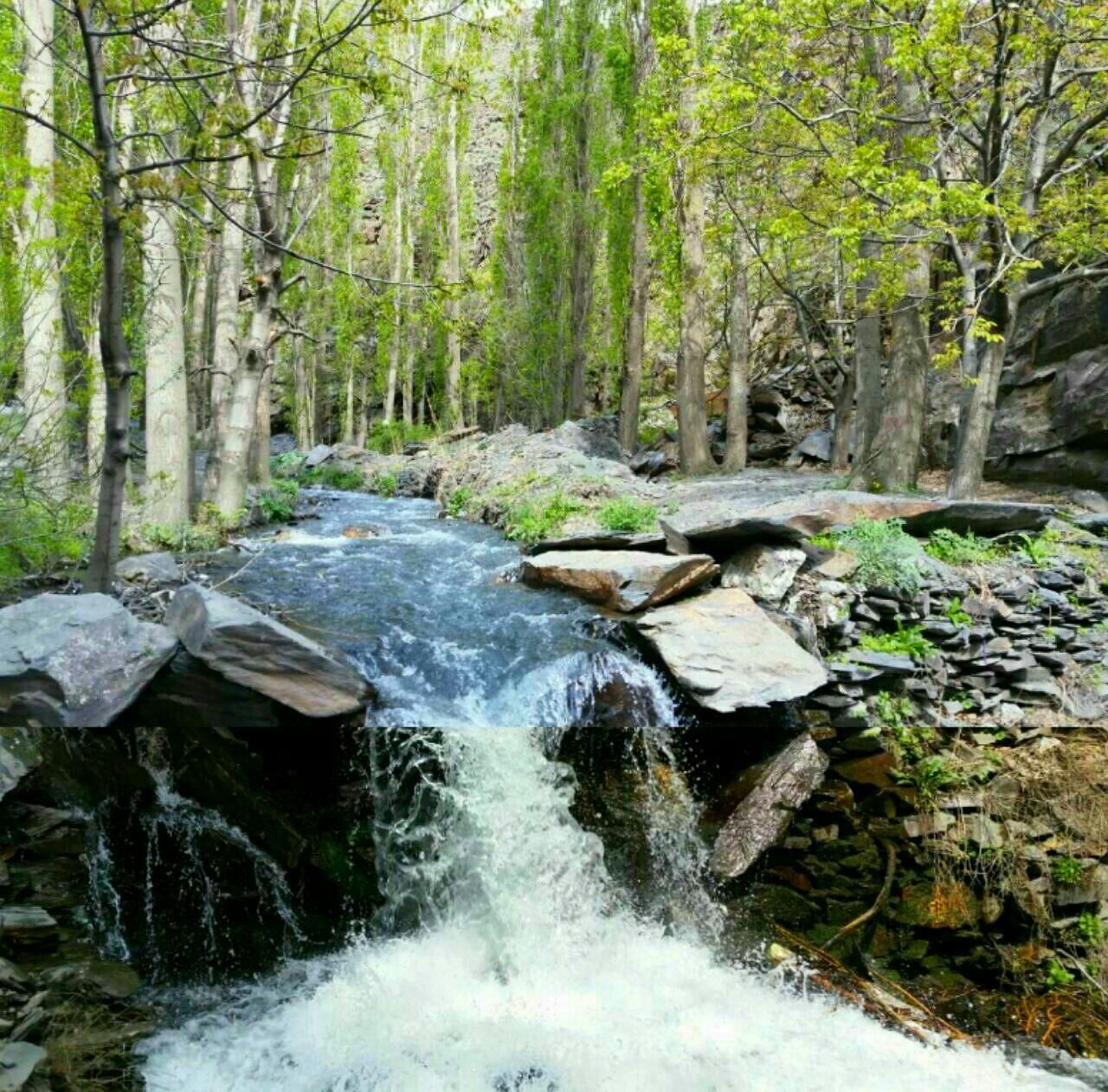 اجاره سوییت خوش منظره روستای کنگ طرقبه شاندیز|اجارهٔ کوتاه‌مدت ویلا و باغ|مشهد, وکیل‌آباد|دیوار