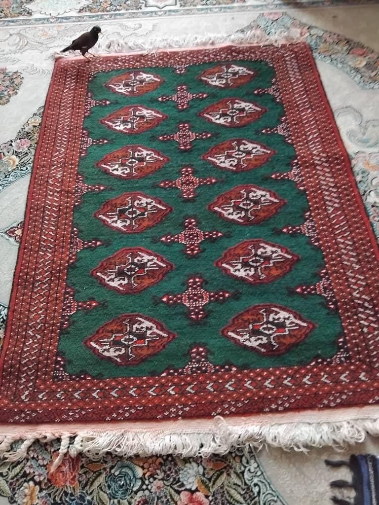 قالیچه دستباف قدیمی ترکمن|گلیم، جاجیم، گبه|شاهین‌شهر, طالقانی|دیوار