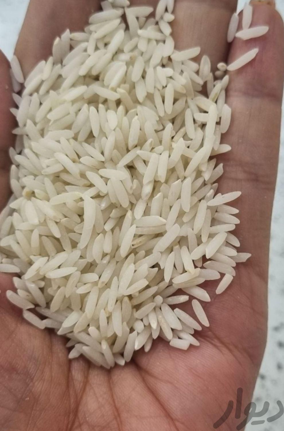 برنج مجلسی شمالی|خوردنی و آشامیدنی|اهواز, کوی مهدیس|دیوار