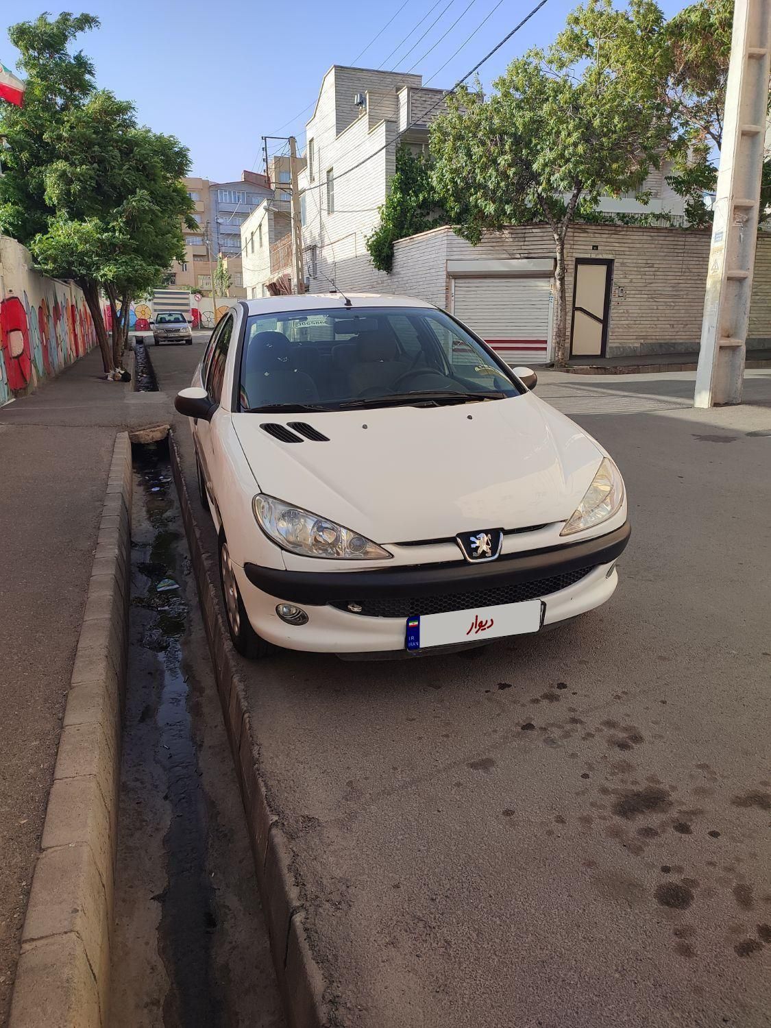 پژو 206 SD V8، مدل ۱۳۹۹|خودرو سواری و وانت|تبریز, |دیوار