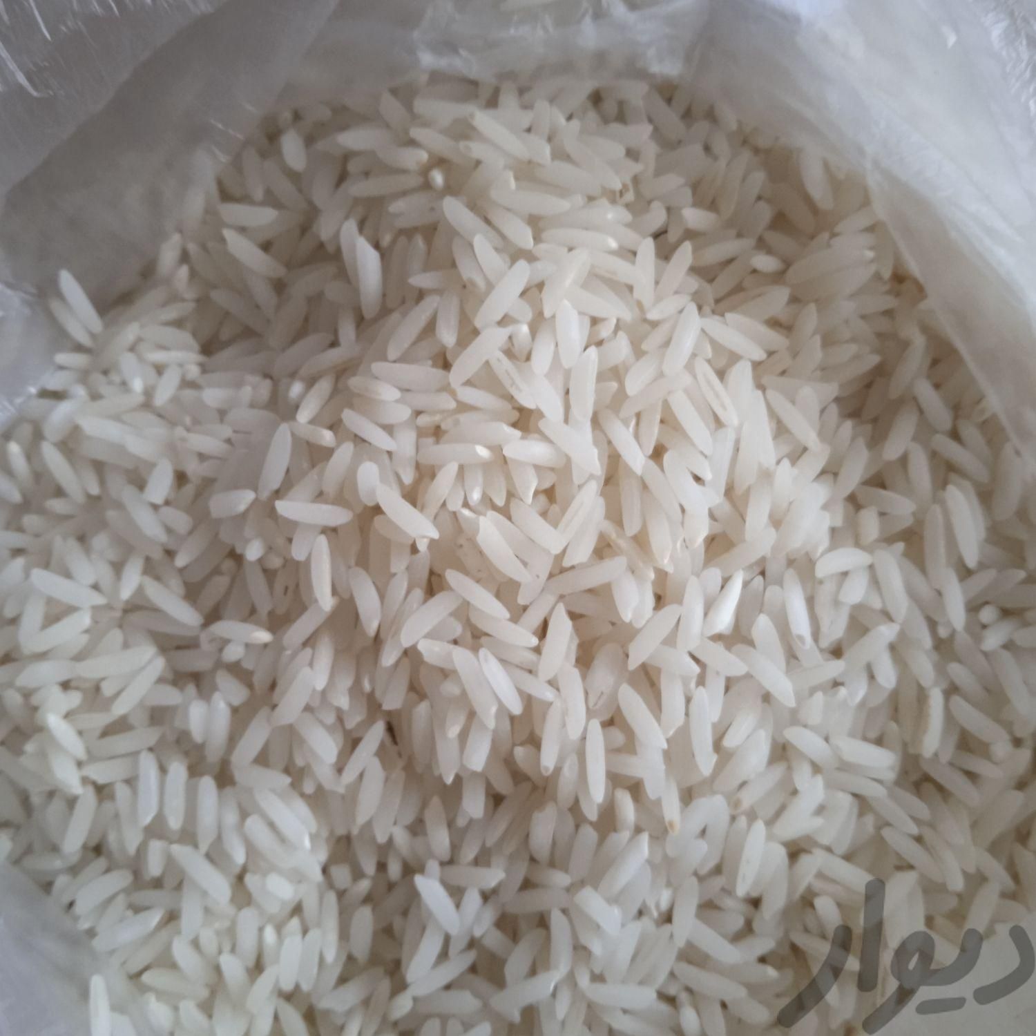 فروش مستقیم برنج هاشمی|خوردنی و آشامیدنی|محمودآباد, |دیوار