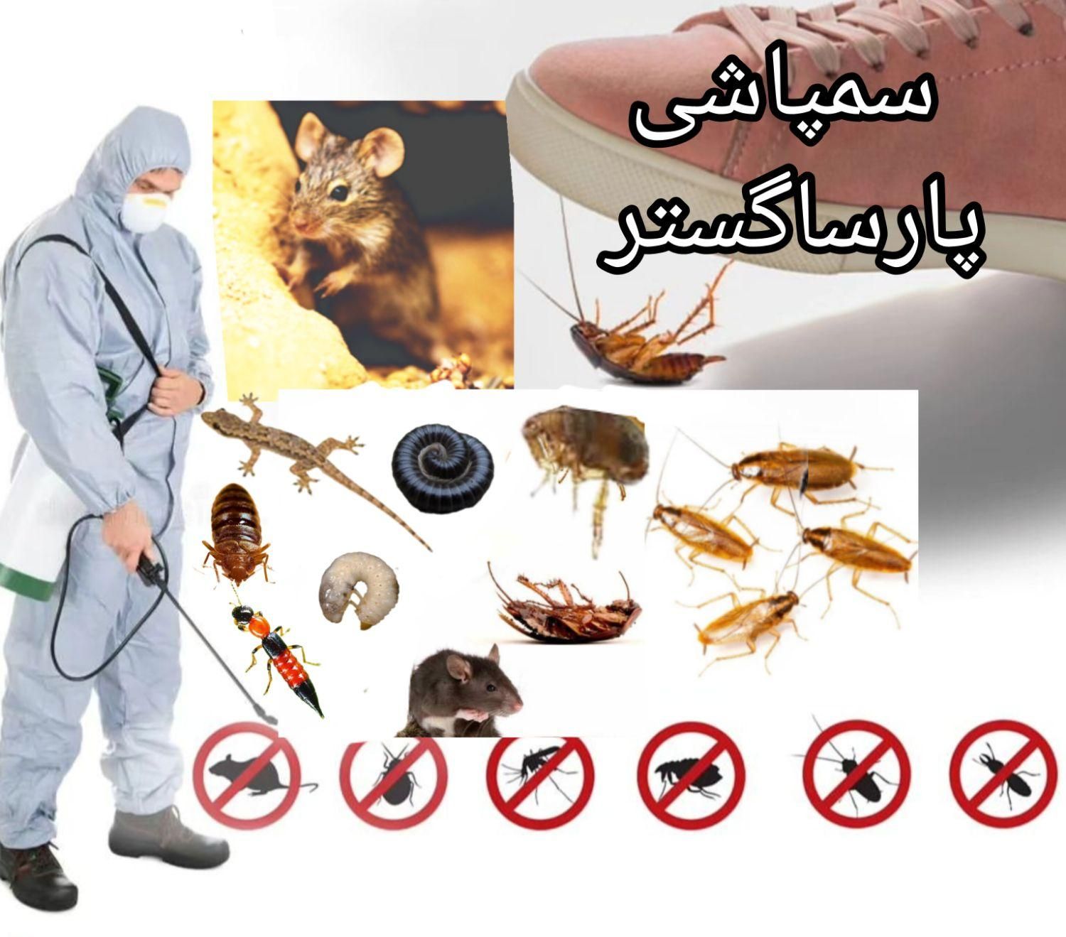 سم‌پاشی *تخصصی* موش و سمپاشی سوسک کک پشه ساس|خدمات نظافت|رشت, بوسار|دیوار