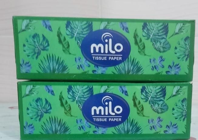 دستمال کاغذی برند milo|مواد شوینده و دستمال کاغذی|داراب, |دیوار