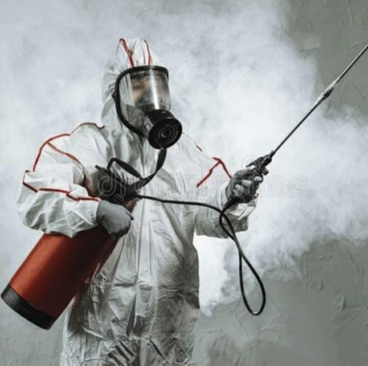 خدمات سمپاشی*موریانه زدایی*باضمانت ریشه حشرات|خدمات نظافت|اهواز, کوروش|دیوار