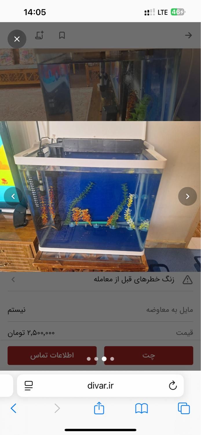 آکواریوم|ماهی|تهران, حکیمیه|دیوار