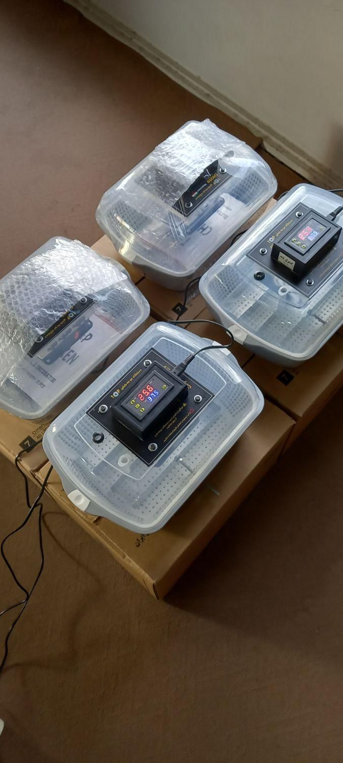 دستگاه (خانگی) جوجه کشی|لوازم جانبی حیوانات|بوشهر, |دیوار