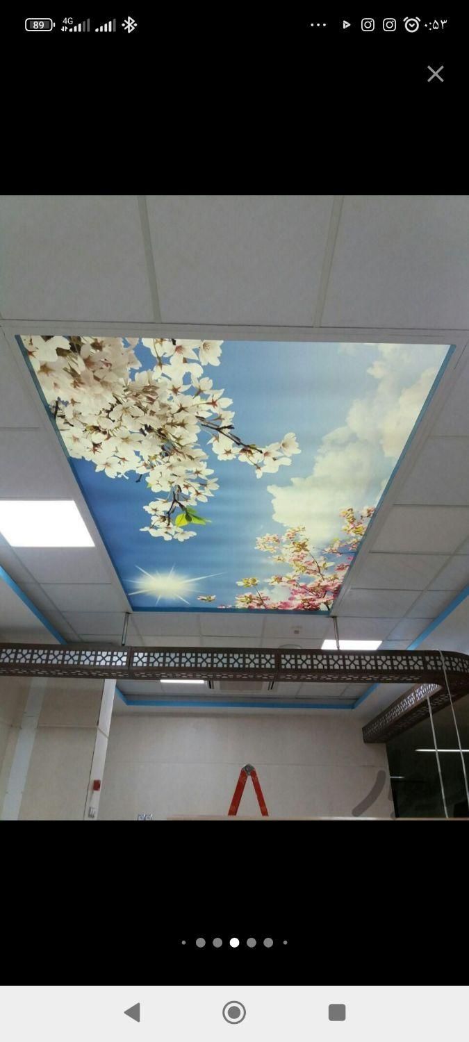 مجری نصب کناف،پی وی سی،پارکت و ترمو|خدمات پیشه و مهارت|بیرجند, |دیوار