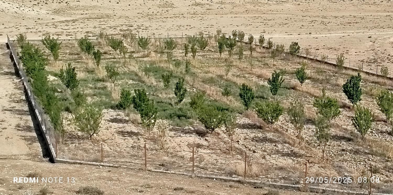 فروش باغ سنددار درنمرودمعاوضه باآپارتمان و خودرو.|فروش دفتر صنعتی، کشاورزی، تجاری|فیروزکوه, |دیوار