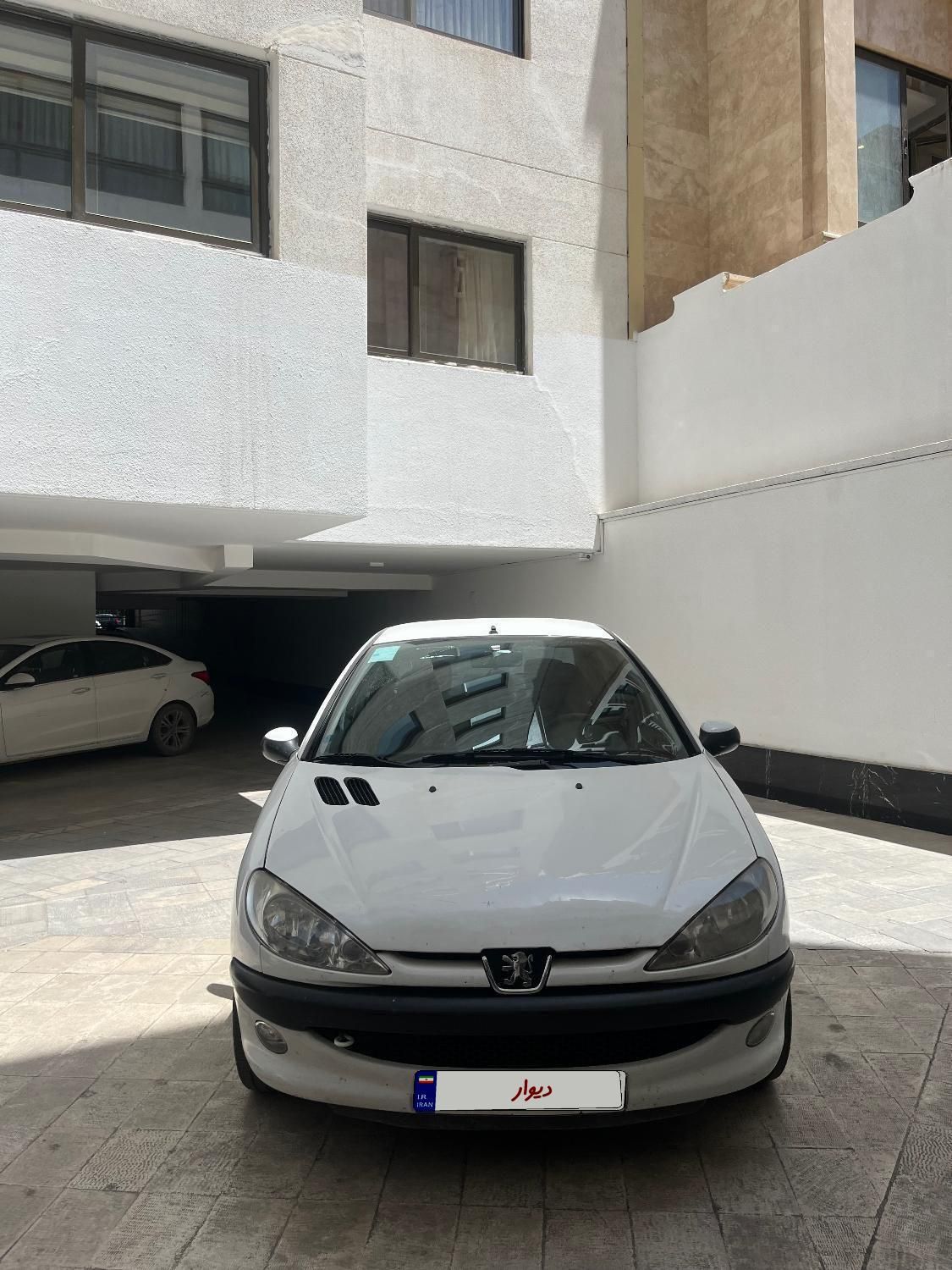 206 sd v8|خودرو سواری و وانت|اصفهان, باغ دریاچه|دیوار
