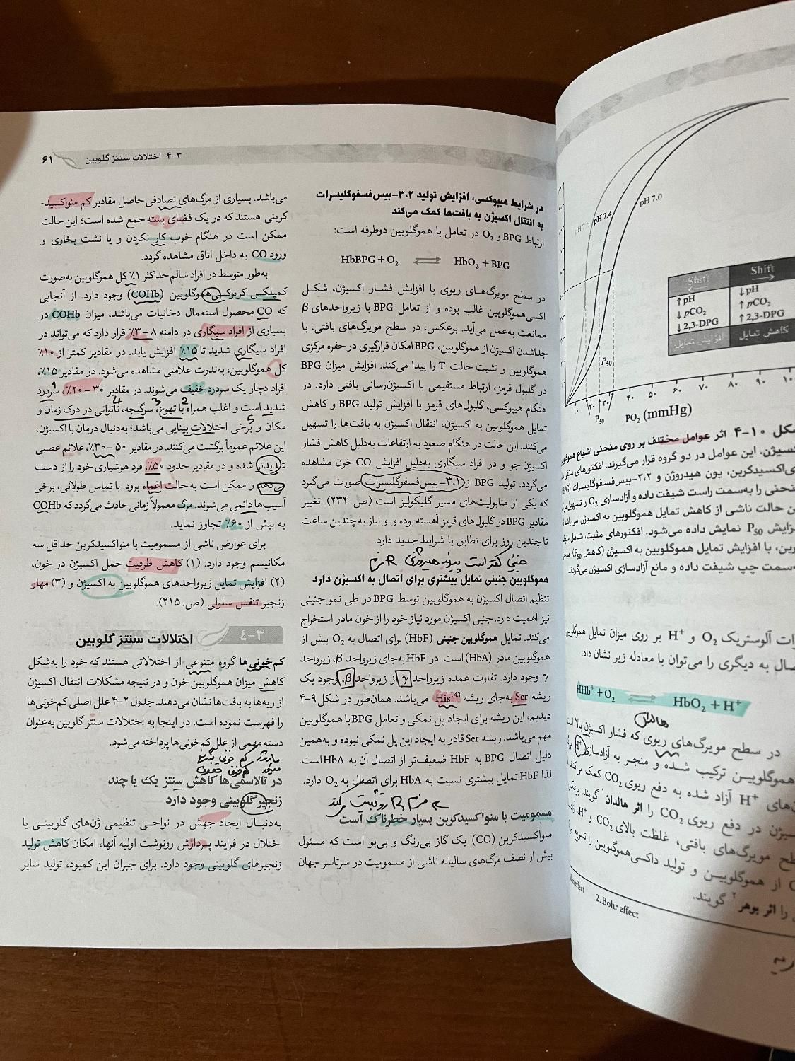 کتاب بیوشیمی عمومی تئوری دکتر رضا محمدی|کتاب و مجله آموزشی|تهران, سعادت‌آباد|دیوار