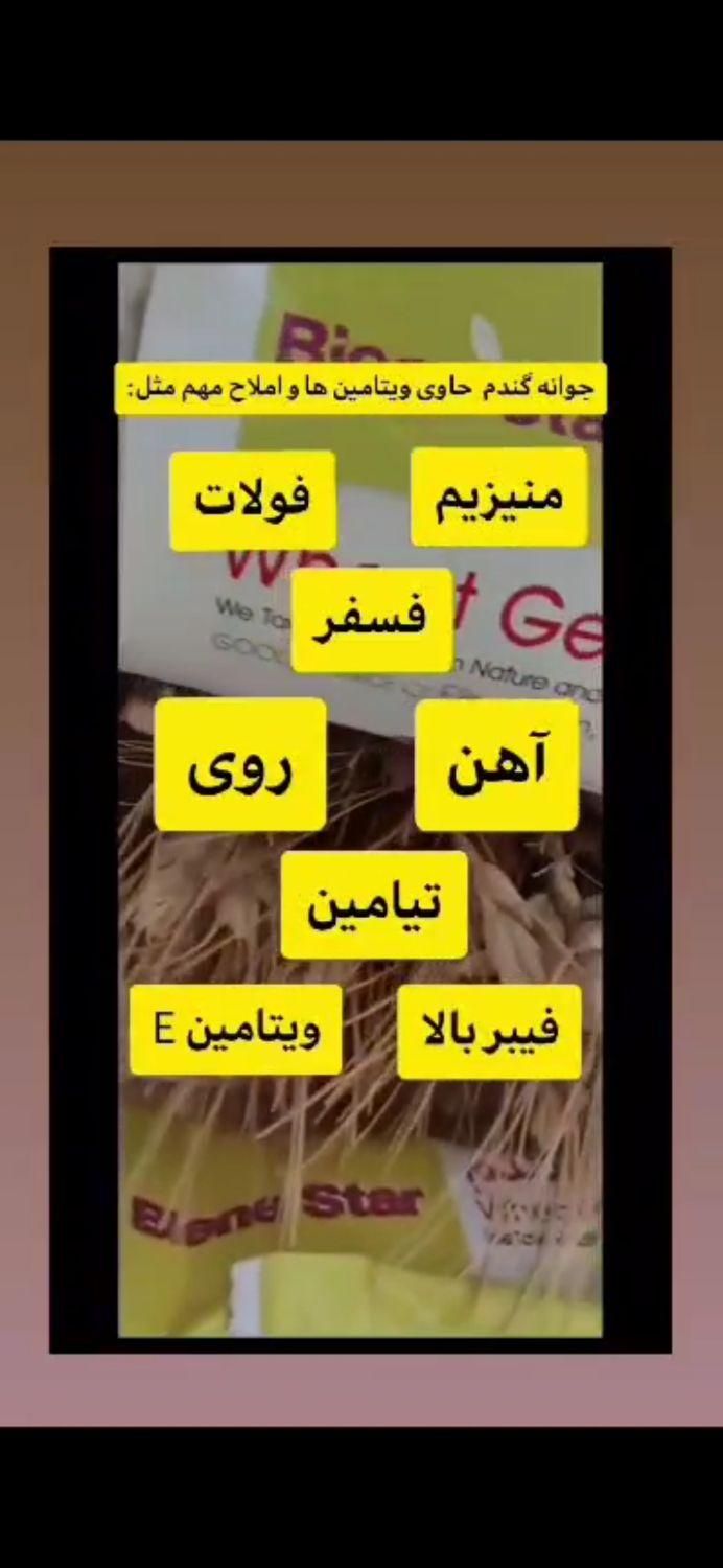 کرم و پودر جوانه گندم ۲۵ ساشه دارای سیب سلامت|خوردنی و آشامیدنی|زاهدان, |دیوار