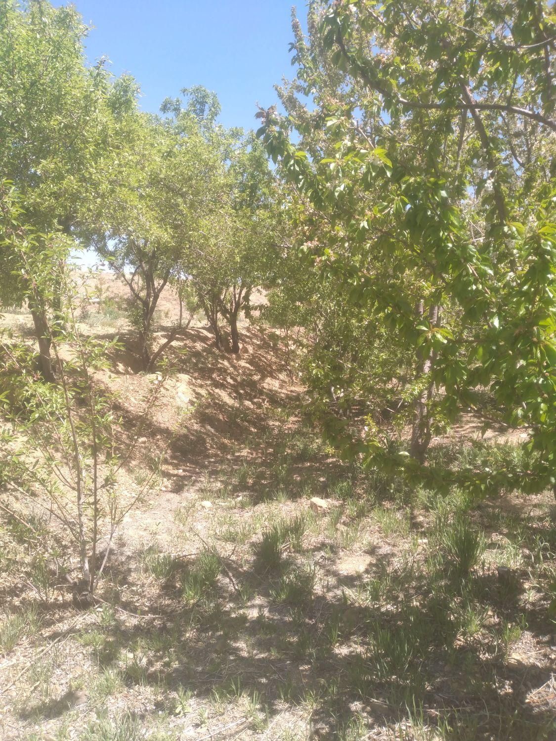 فروش زمین ۶۰۰ متری محدود پل زمانخان روستایی شوراب|فروش زمین و ملک کلنگی|اصفهان, آزادگان|دیوار
