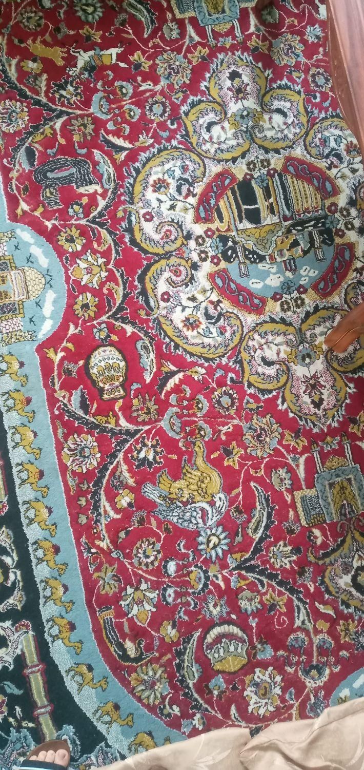 فرش ۵۰۰شانه کارکرده|فرش|آمل, |دیوار