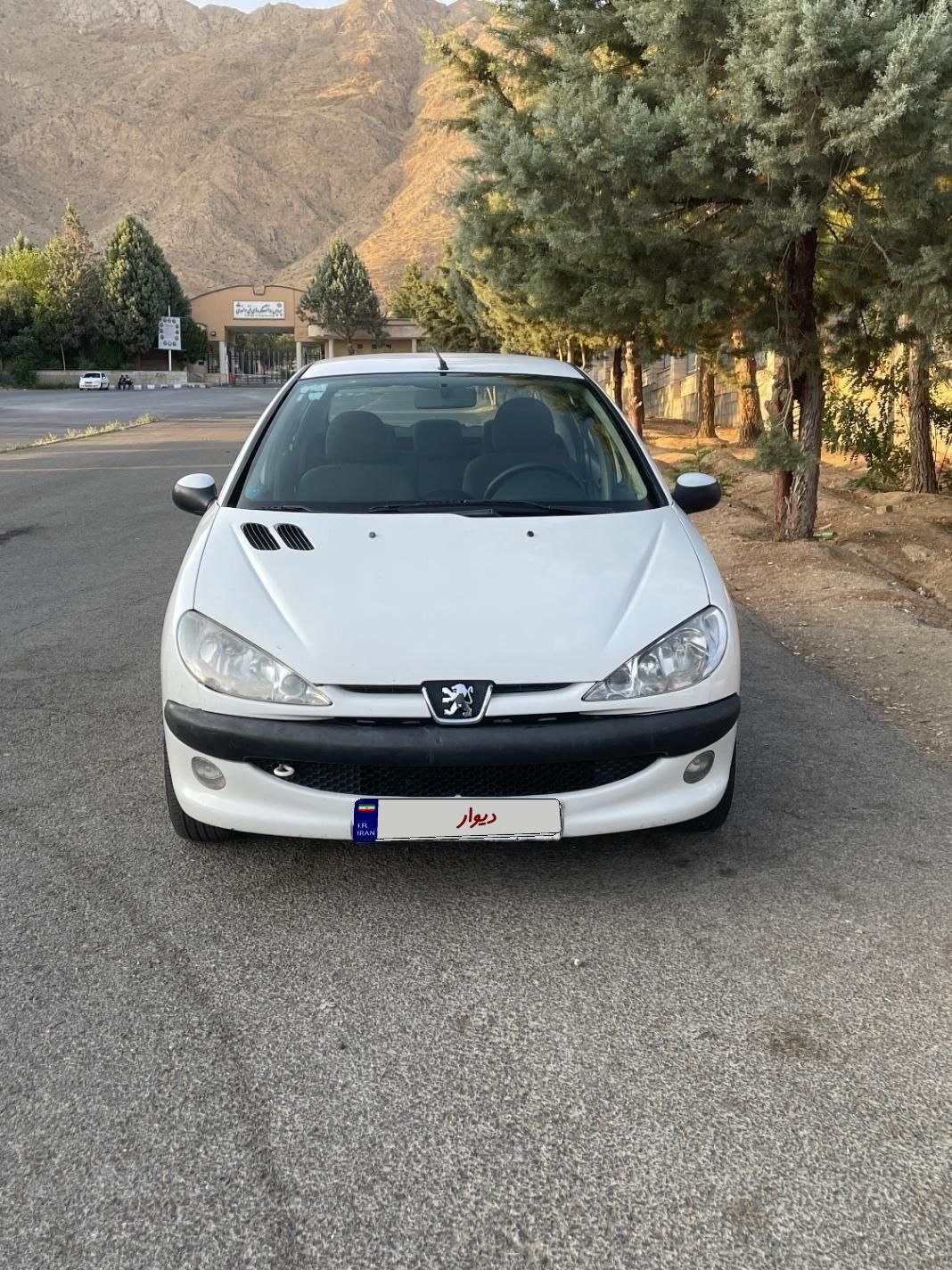 پژو 206 SD V8|خودرو سواری و وانت|ملایر, |دیوار