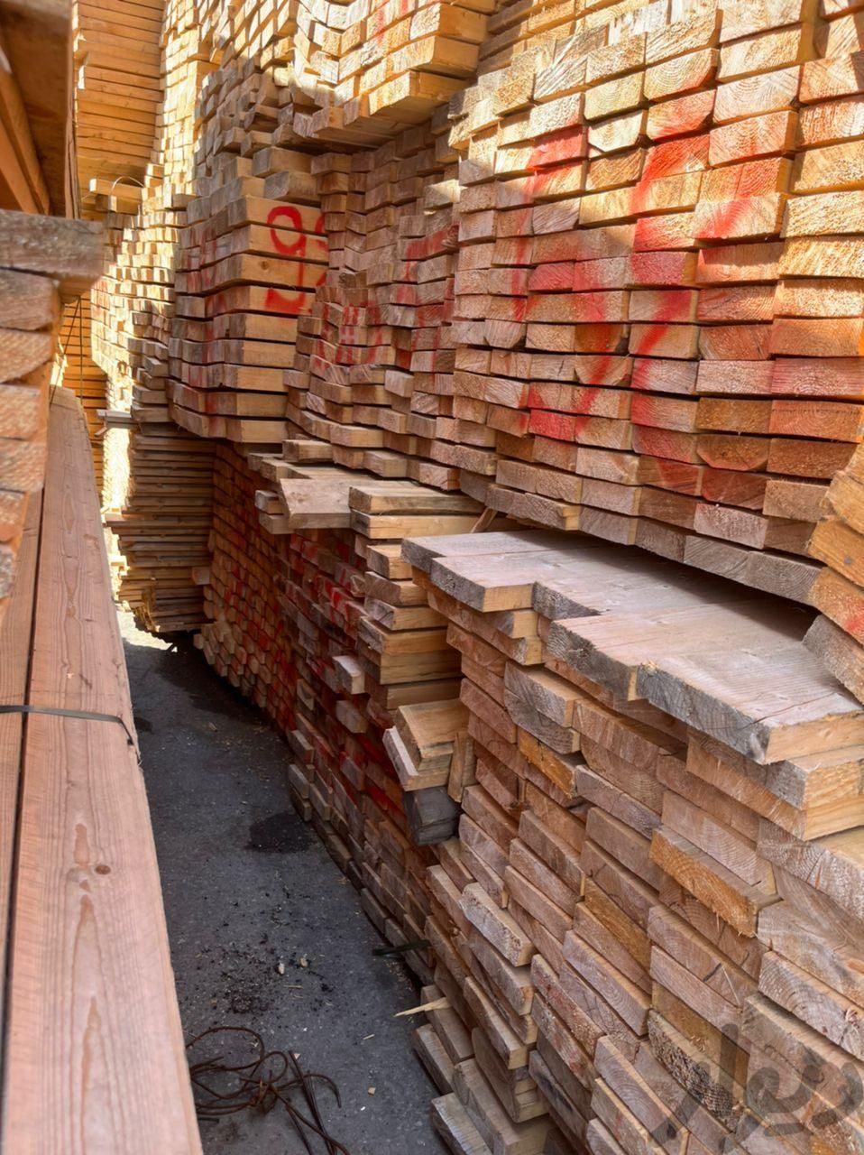 چوب سربندی نراد و محلی|مصالح و تجهیزات ساختمان|رشت, امام حسین|دیوار