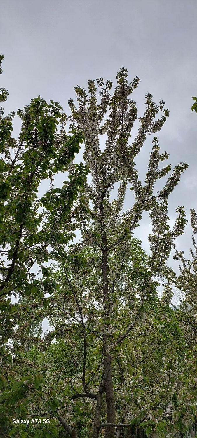 خانه ۷۳ متری دوطبقه روستای توریستی سنگان|فروش خانه و ویلا|تهران, شهران شمالی|دیوار