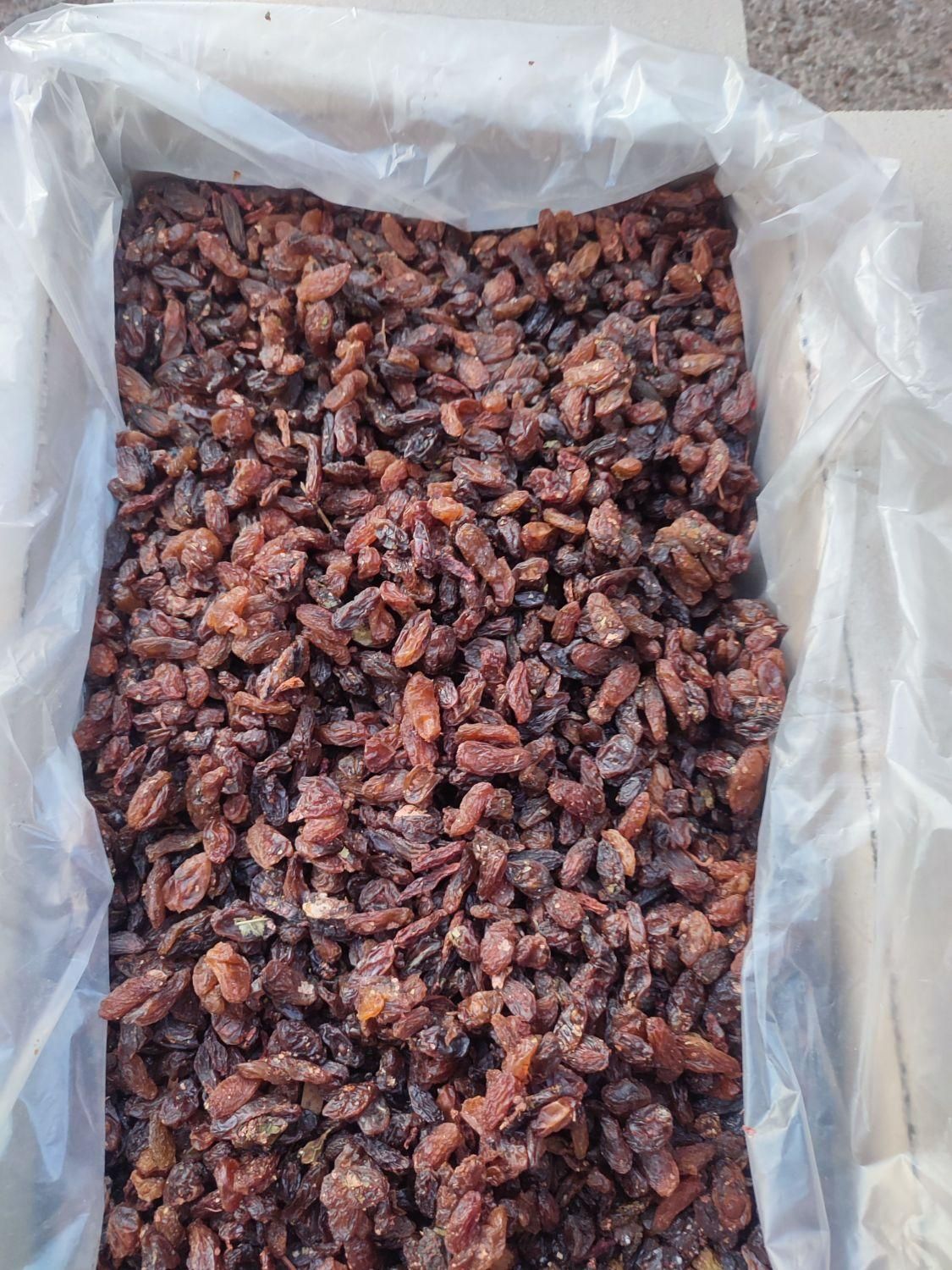 کشمش افتابی|عمده‌فروشی|قرچک, |دیوار