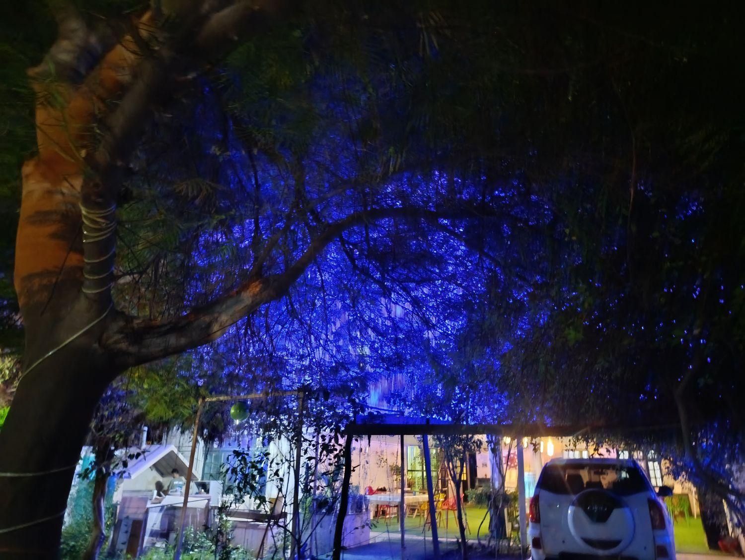 ویلا پسندان|اجارهٔ کوتاهمدت ویلا و باغ|بوشهر, |دیوار