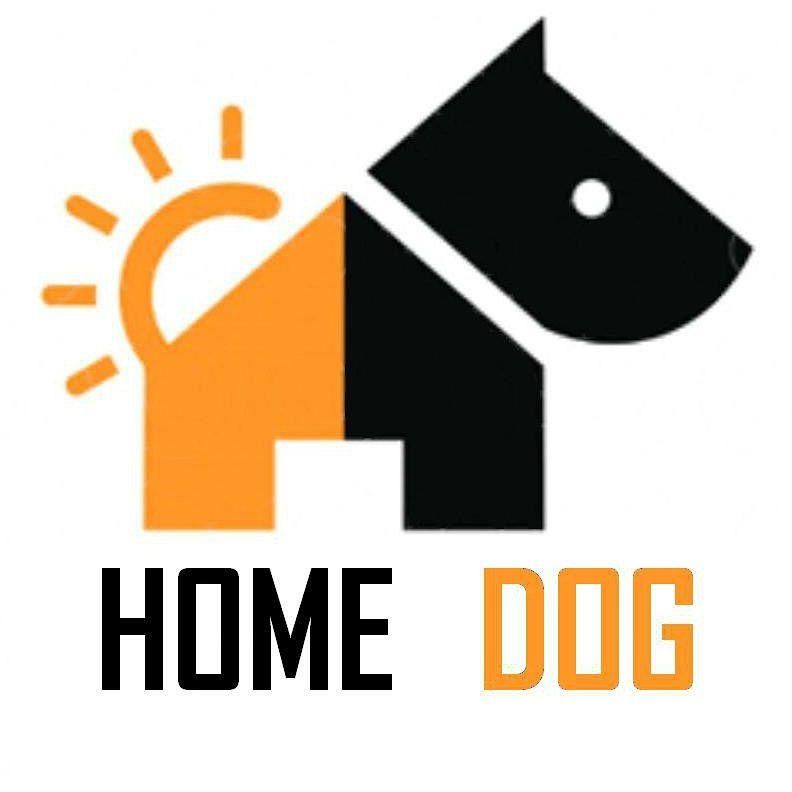 پانسیون نگهداری و آموزش سگ کوچیک و بزرگ|خدمات پیشه و مهارت|تهران, تهرانسر غربی|دیوار