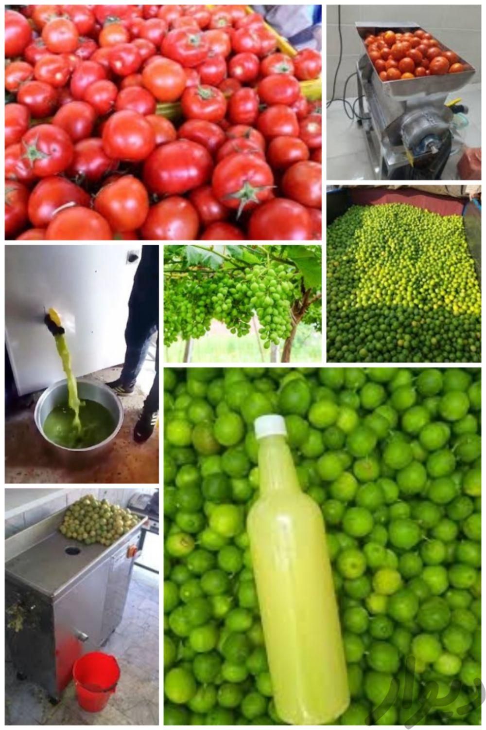 آبگیری گوجه وغوره و لیمو و آبگیری گوجه سیاره|خدمات پذیرایی/مراسم|مشهد, حجت|دیوار