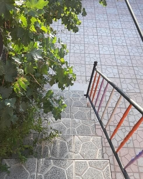 تصویر 2