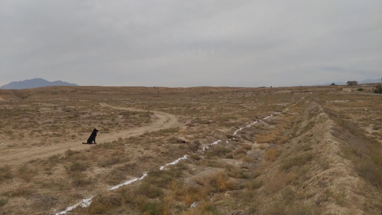 زمین مسکونی خارج از بافت روستای تاجخاتون|فروش زمین و ملک کلنگی|قم, آزادگان|دیوار