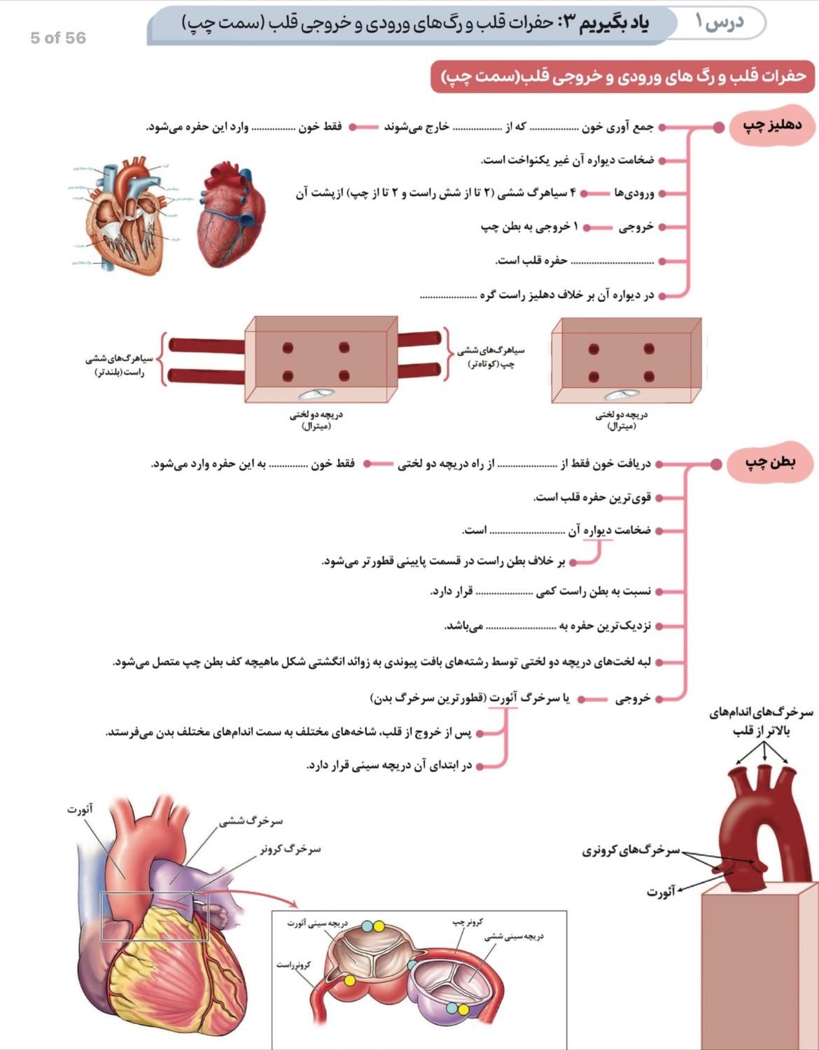 پکیج جامع کنکور تجربی اکادمی امروز پزشکیتو|کتاب و مجله آموزشی|تهران, سعادت‌آباد|دیوار