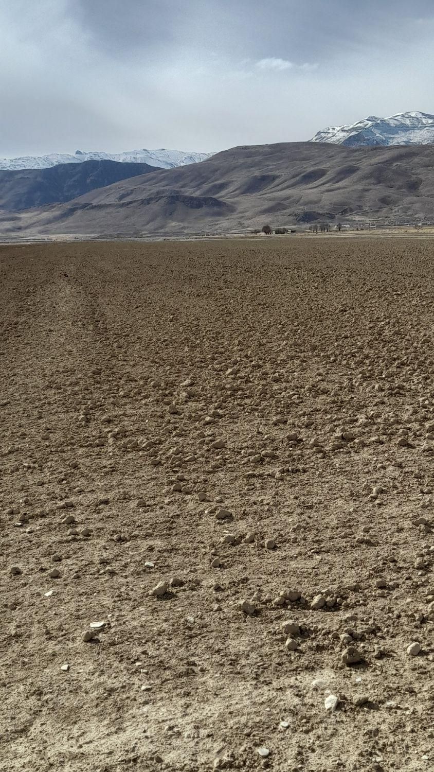 فروش زمین ۸ هکتار|فروش زمین و ملک کلنگی|گندمان, |دیوار