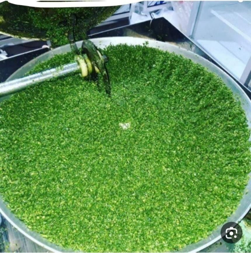 سبزی خرد شده و آماده|خوردنی و آشامیدنی|مشهد, طلاب|دیوار