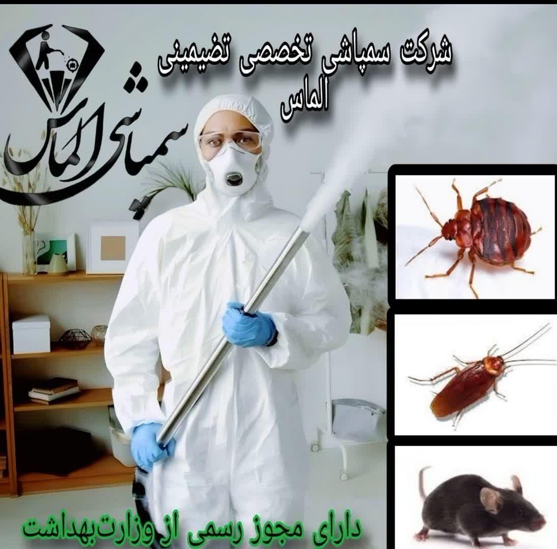 سمپاشی ساس،موش سوسک موریانه شپش گال(تضمینی)سم پاشی|خدمات نظافت|تهران, خلیج فارس|دیوار