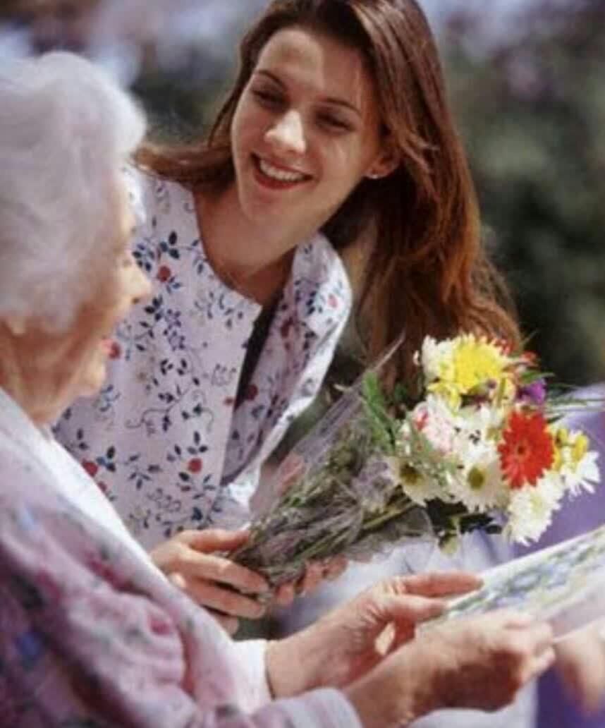 شرکت خدماتی/ نظافتی/ مراقبت ازسالمندوکودک|خدمات نظافت|شیراز, لشکری‎|دیوار