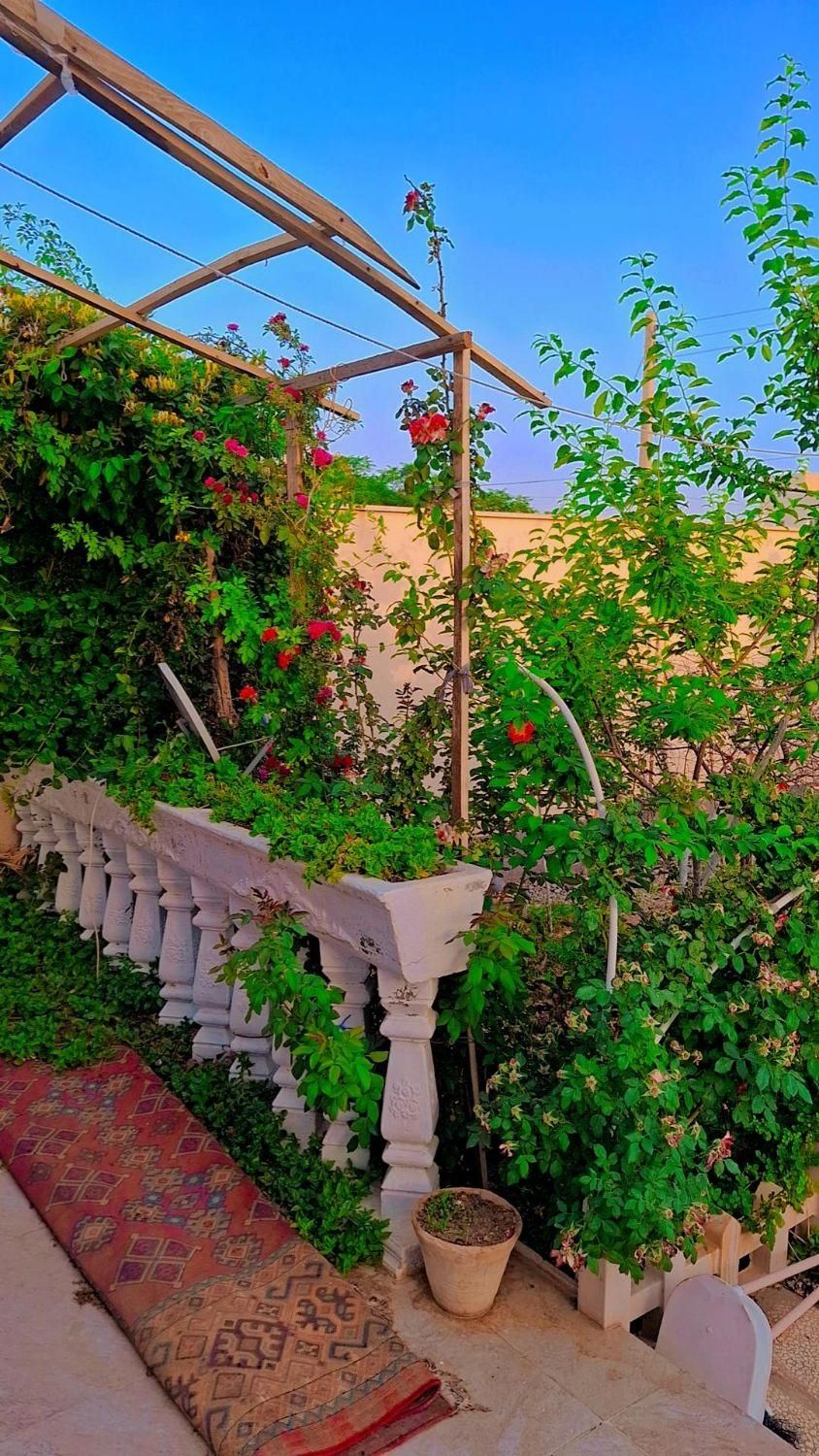 تصویر 11