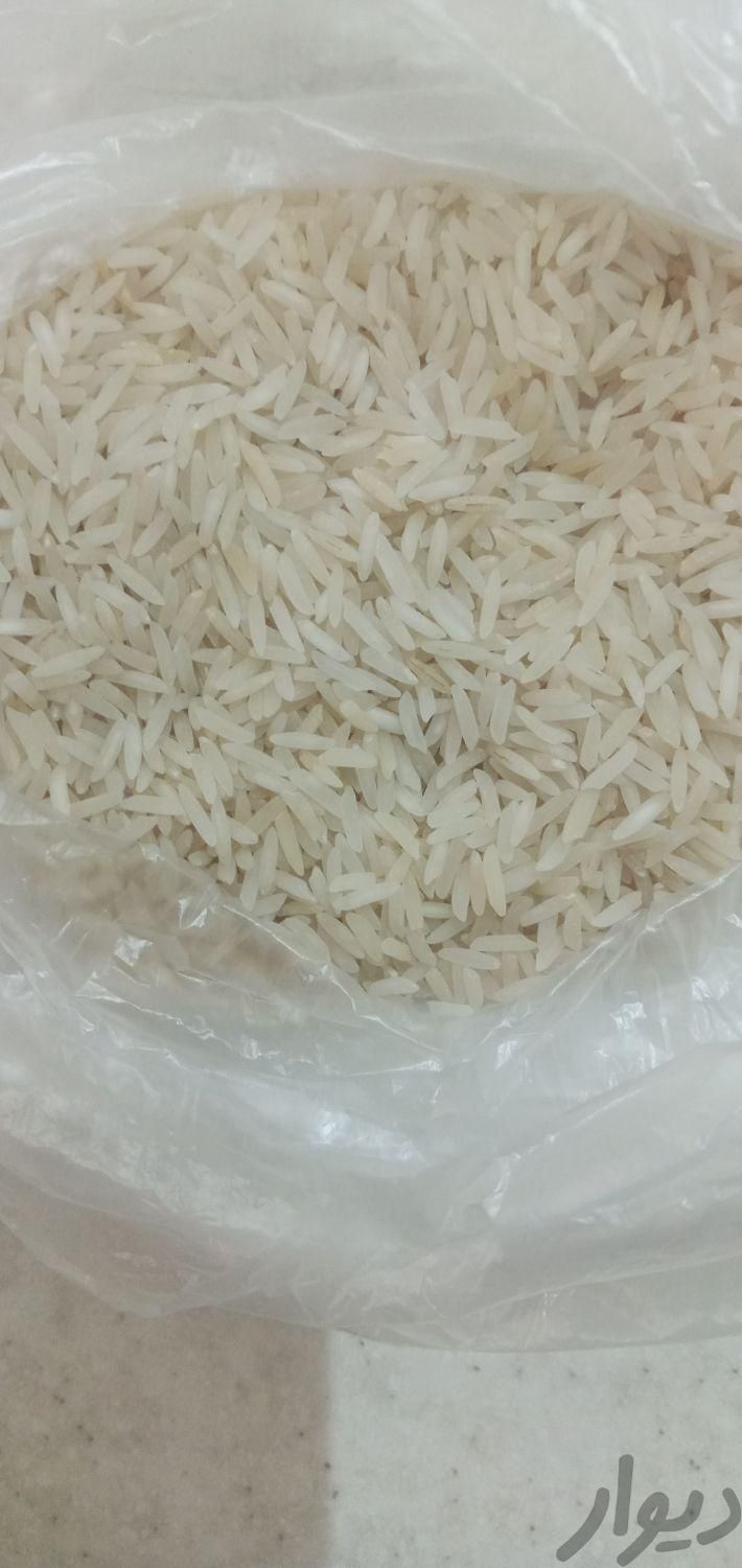 برنج|خوردنی و آشامیدنی|تهران, شاهین|دیوار