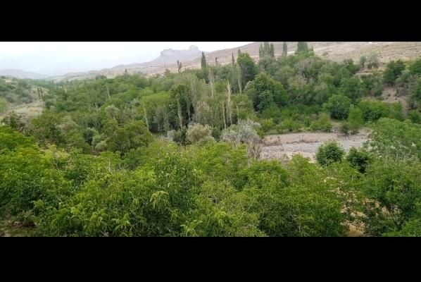 اجاره روزانه/هفتگی/ماهانه آپارتمان ۹۰ متری|اجارهٔ کوتاه‌مدت آپارتمان و سوئیت|بافت, |دیوار