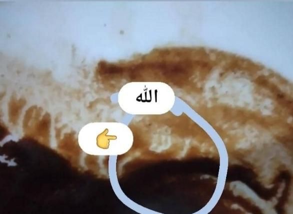 (قوی ترین وتخصصی انواع فال) ( وحتی اموزش حرفه ای)|خدمات پذیرایی، مراسم|تهران, تهرانپارس غربی|دیوار