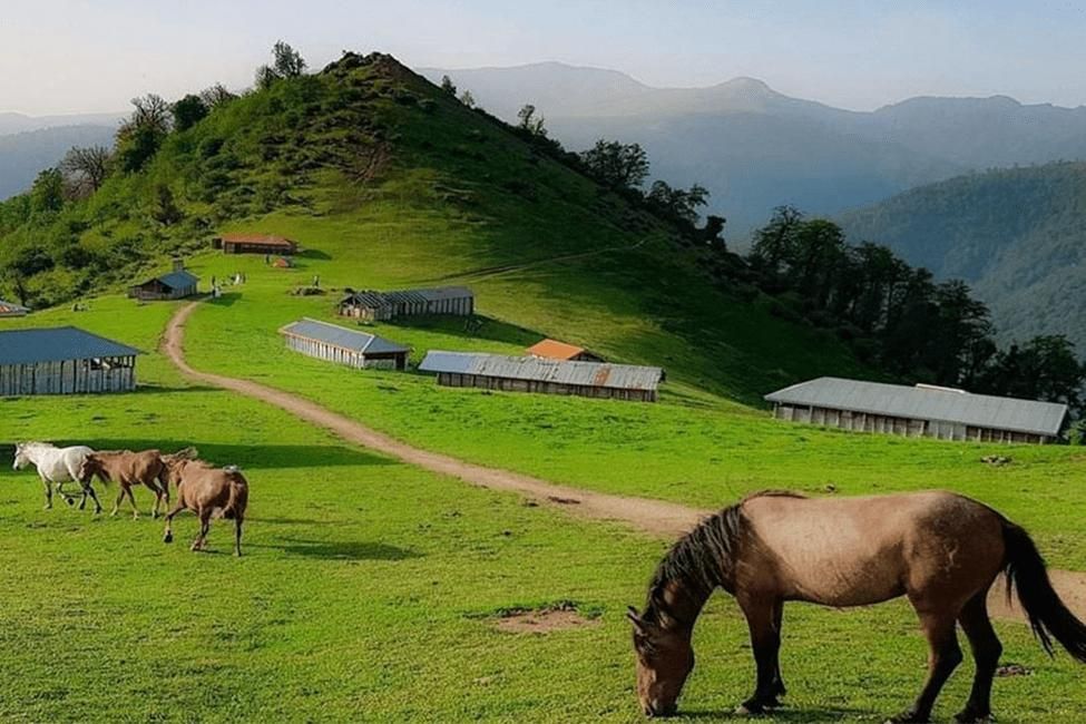 تور ۲.۵ ماسال ، گیسوم ، اولسبلانگاه|تور و چارتر|تهران, خرمشهر|دیوار