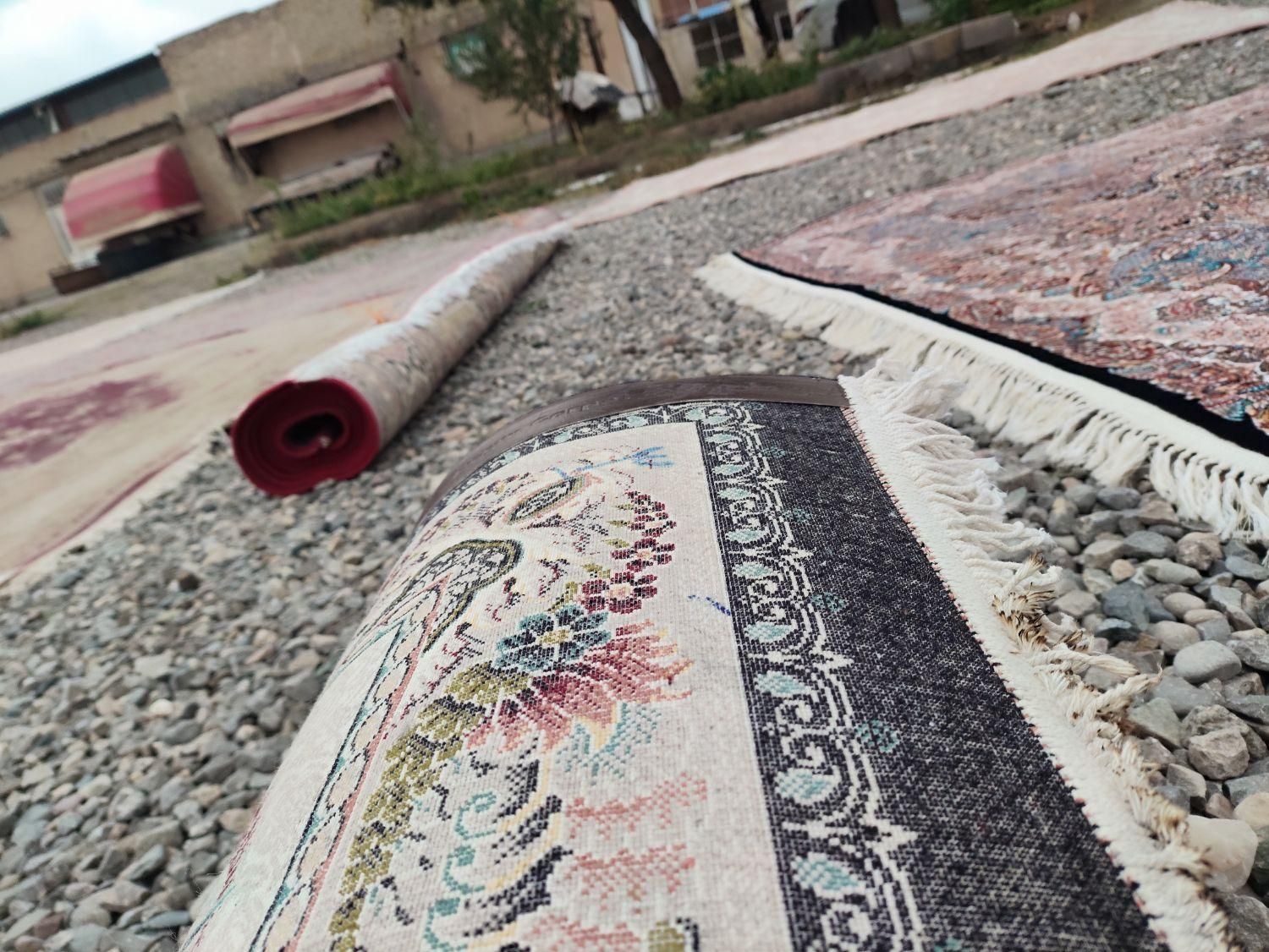 قالیشویی محمد|خدمات نظافت|گلبهار, |دیوار