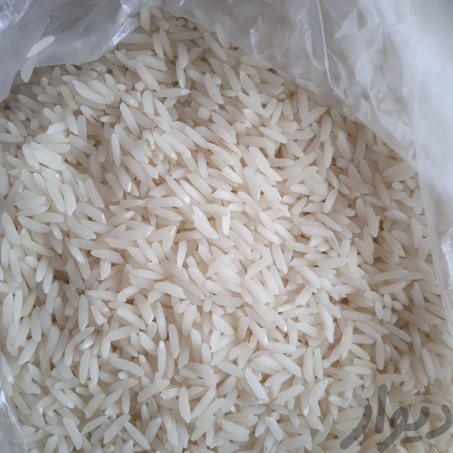 فروش مستقیم برنج هاشمی|خوردنی و آشامیدنی|محمودآباد, |دیوار