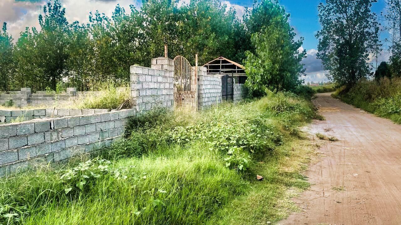 همین الان بخر و بساز/زمین مسکونی قیمت اسـتثنایی|فروش زمین و ملک کلنگی|لاهیجان, لیالستان|دیوار