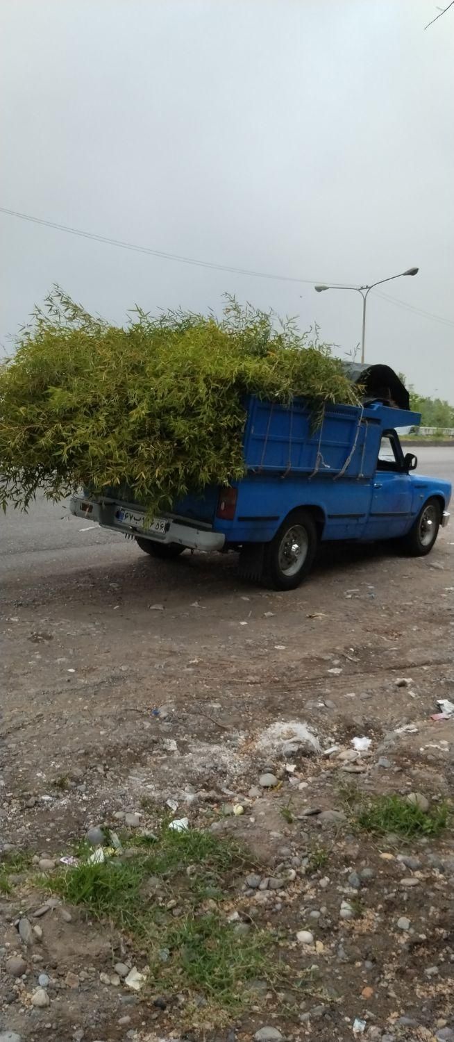 حمل بار و خورده بار با وانت،نیسان،خاور،بنز تک وجفت|خدمات حمل و نقل|بندر انزلی, شیلات|دیوار