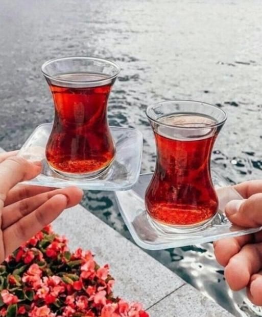 ( چای ) چای چکش سبز ( چای )|خوردنی و آشامیدنی|همدان, |دیوار