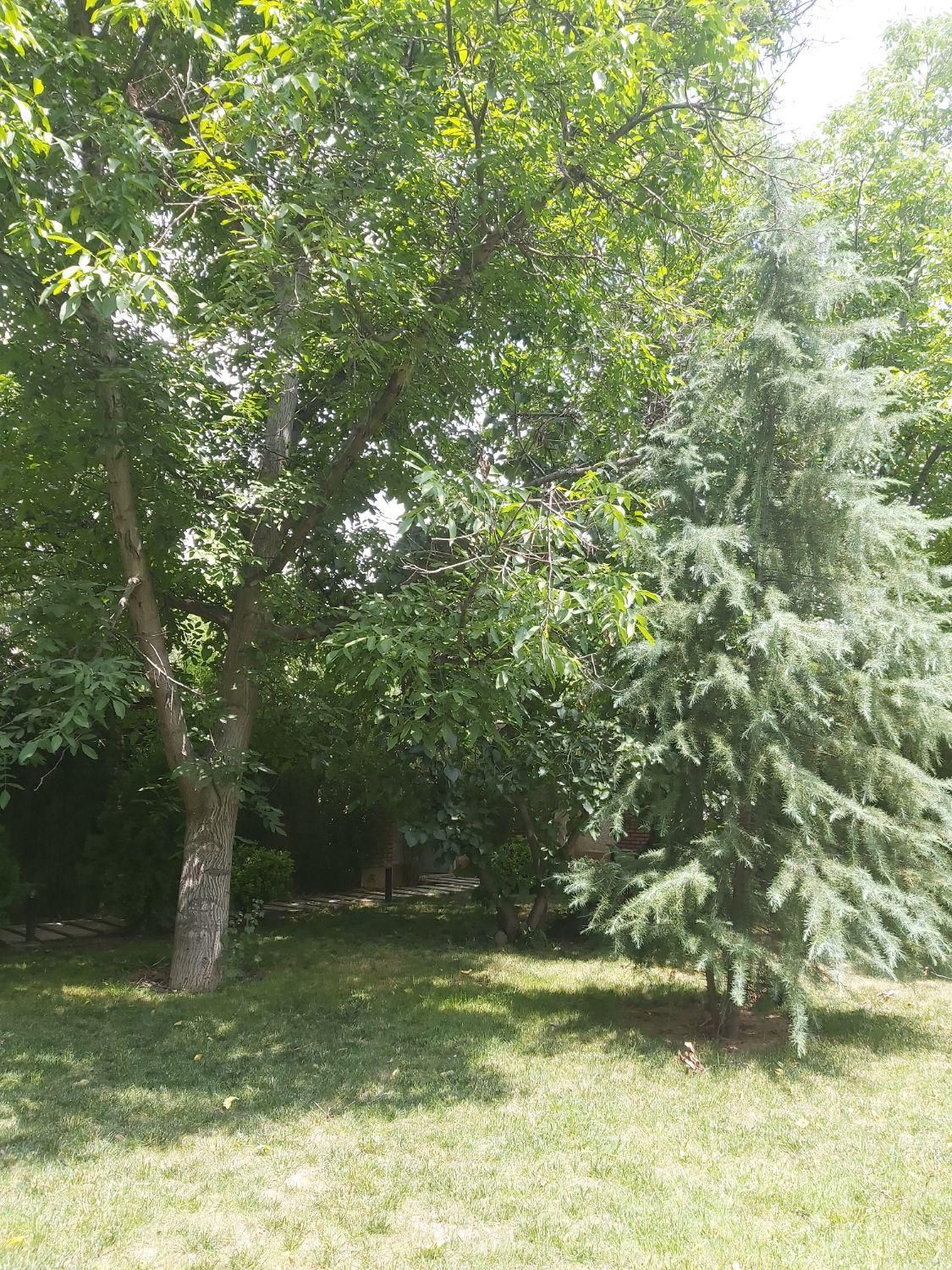 زمین/باغ ۱۶۰۰ متری سنددار در مهرشهر خیابان چمن|فروش زمین و ملک کلنگی|کرج, چمن|دیوار