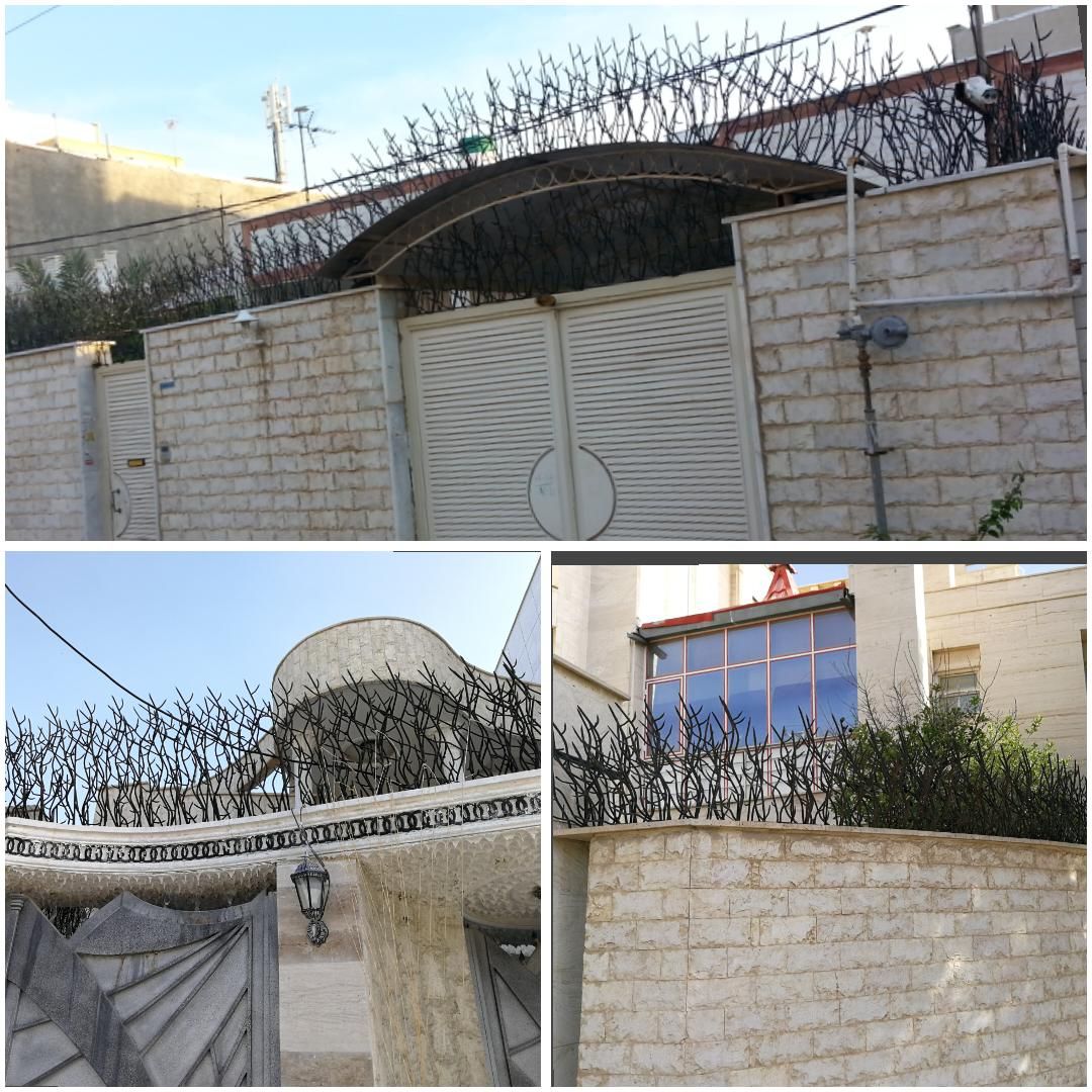 حفاظ شاخ گوزنی و گلنرده و ...|خدمات پیشه و مهارت|بوشهر, |دیوار