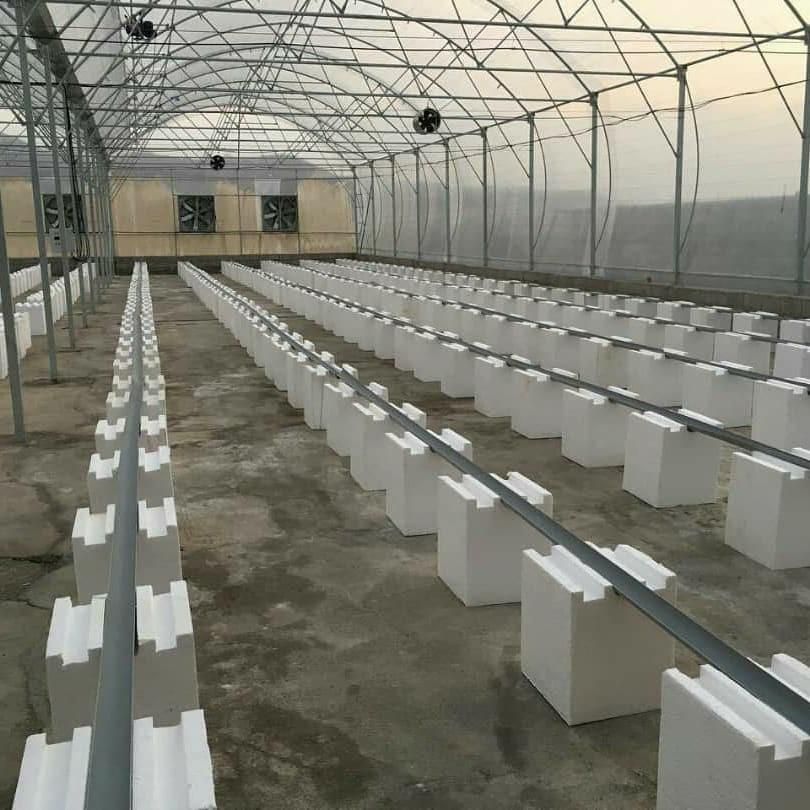 فن سیرکولار گلخانه|پنکه و تصفیهکنندهٔ هوا|شهرضا, |دیوار