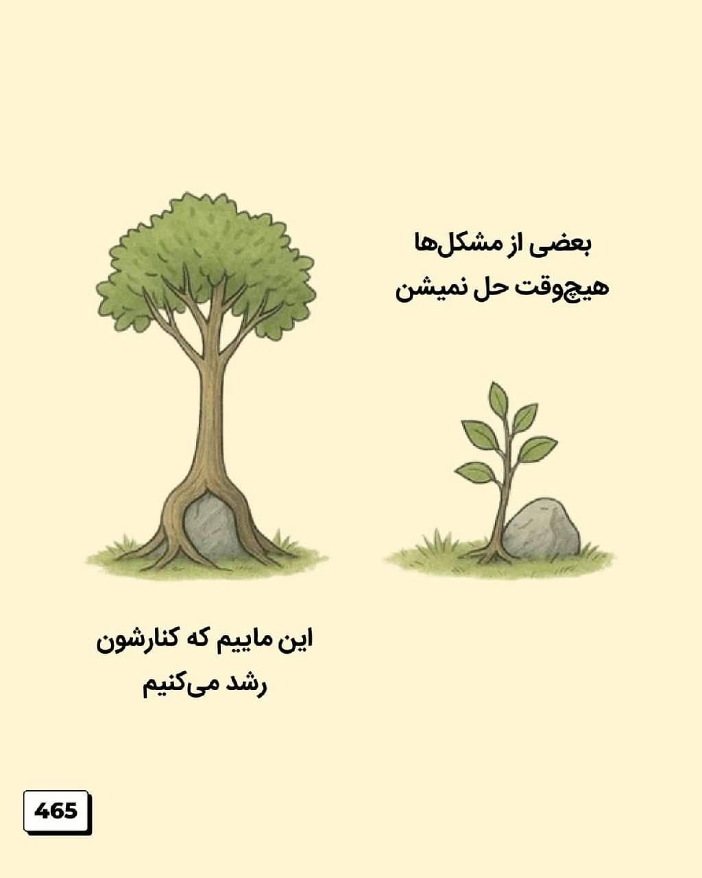 و.   ا.    م.    پا نصد|فعالیت داوطلبانه تحقیقاتی|کرج, محمود آباد|دیوار